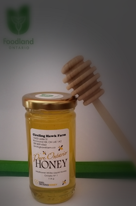 Small Honey Jar